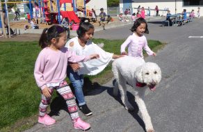 Everybody Loves Buddy at Sutter Elementary