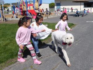 Everybody Loves Buddy at Sutter Elementary