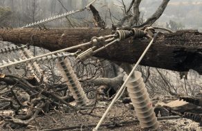 Silicon Valley Power Plays a Role in Carr Fire Restoration Efforts