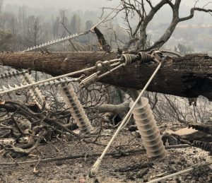 Silicon Valley Power Plays a Role in Carr Fire Restoration Efforts