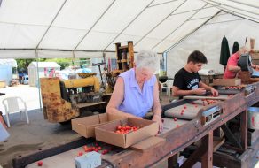 Keep Calm and Cherry On at Sunnyvale’s Orchard Fruit Stand