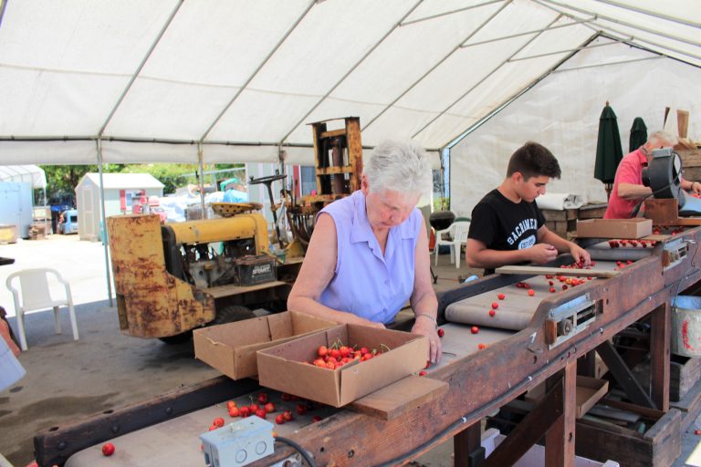 Keep Calm and Cherry On at Sunnyvale’s Orchard Fruit Stand