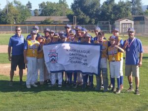 Little League All Stars: Should Briarwood and Westside Merge?