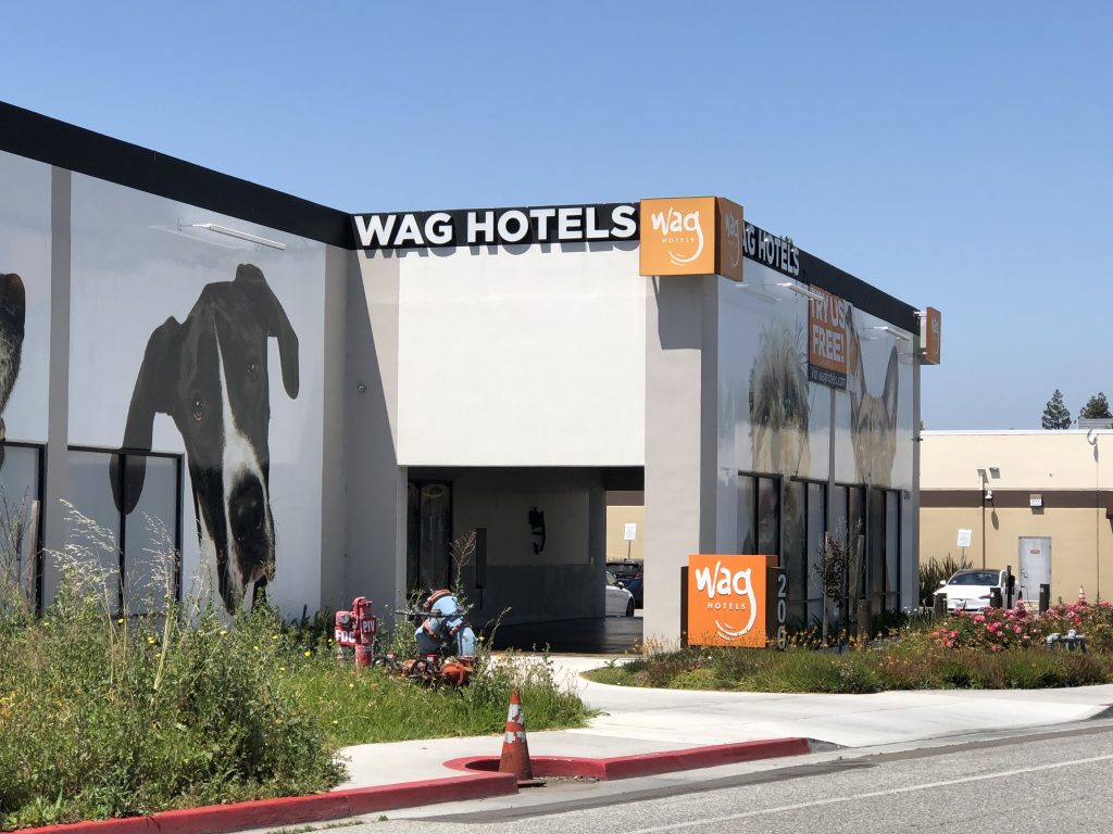 Wag Hotel Dog Attacks euthanized pit bull