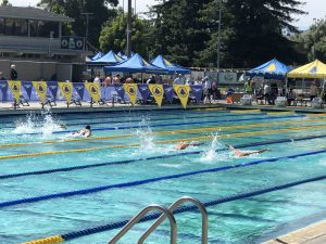 Current and Future Olympians Come Together at International Swim Meet in Santa Clara