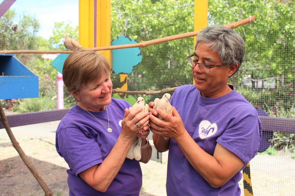 Animal Assisted Happiness Smile Farm youth with needs