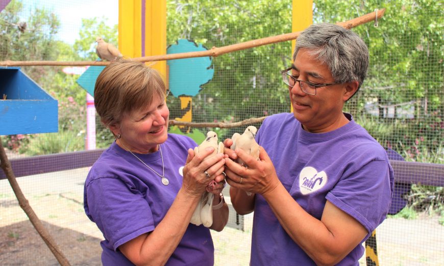 Animal Assisted Happiness Smile Farm youth with needs