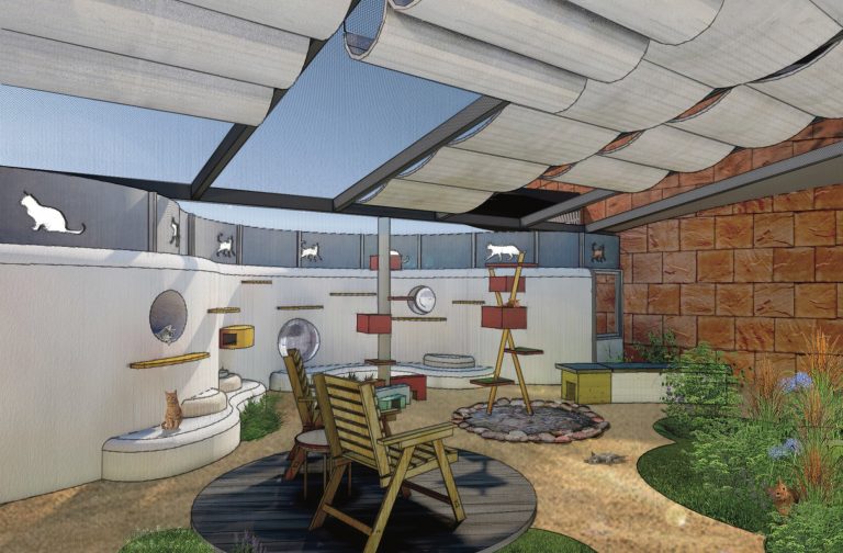 Humane Society Silicon Valley’s Garden Cat Program Changes, Saves Lives