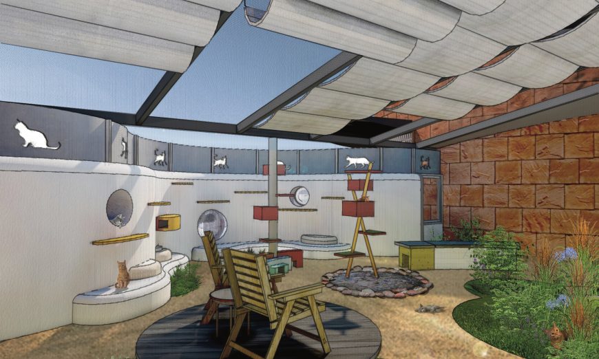 The Humane Society Silicon Valley now has a Garden Cat Program