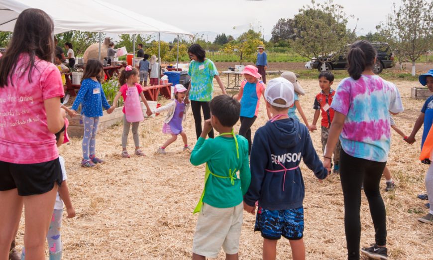 Food and Farm Summer Camp
