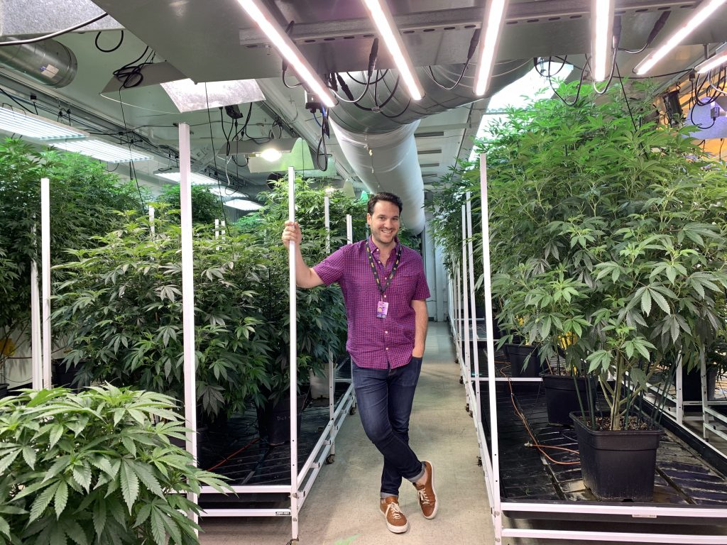 Marc Matulich and Airfield Supply Company provide an inside look into the marijuana business that is legal in San Jose, but not Santa Clara.