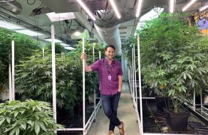 A Peek Inside a San Jose Marijuana Business: Airfield Supply Company