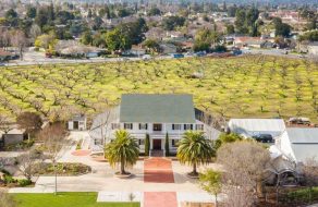 Museum Expansion Sparks Division over Orchard Tree Removal