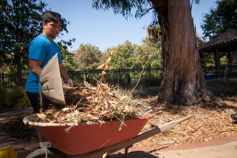 Volunteers, City Staff Answer the Call to Clean Up City-Owned Cemetery