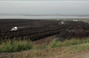 Studies Aimed at Resolving South Bay Odor Issues