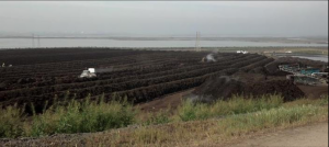 Studies Aimed at Resolving South Bay Odor Issues