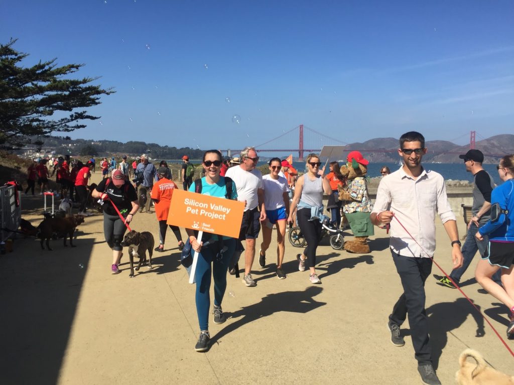 Silicon Valley Pet Project is taking part in the Strut Your Mutt event for the 4th year. They're joining other animal rescue orgs to raise money.