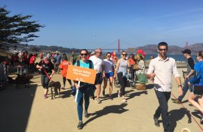 Strut Your Mutt Event to Raise Funds for Homeless and At-Risk Animals 