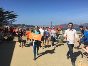 Strut Your Mutt Event to Raise Funds for Homeless and At-Risk Animals 