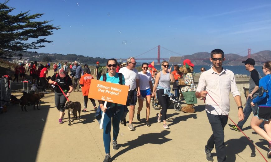 Silicon Valley Pet Project is taking part in the Strut Your Mutt event for the 4th year. They're joining other animal rescue orgs to raise money.