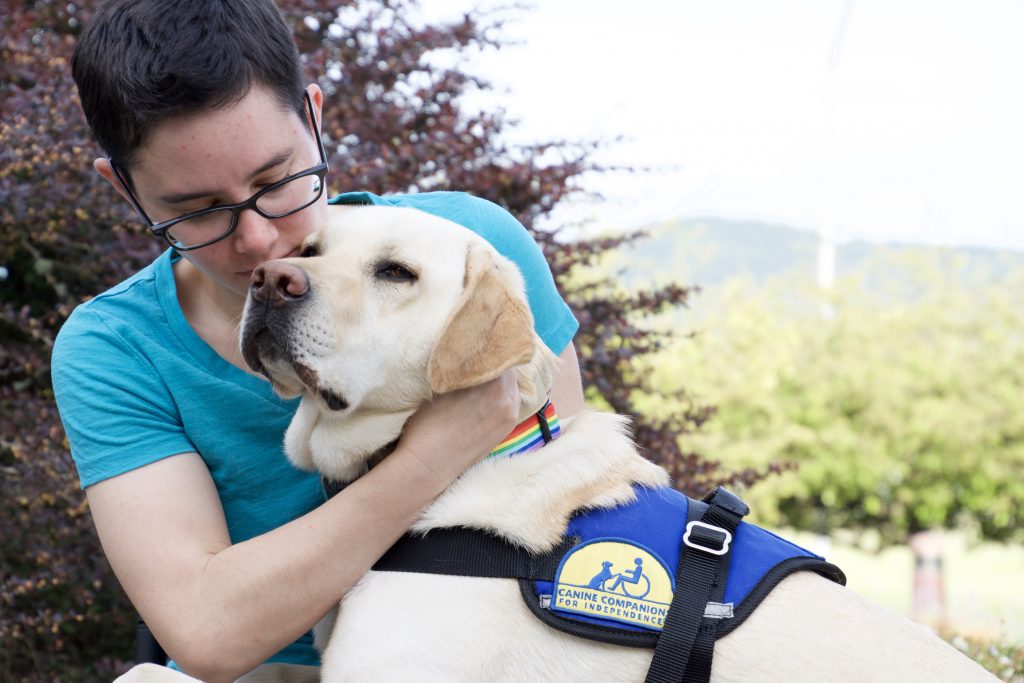 Canine Companions for Independence is on a mission to end Service Dog Fraud. Untrained dogs are a danger to service dogs and those who need them.