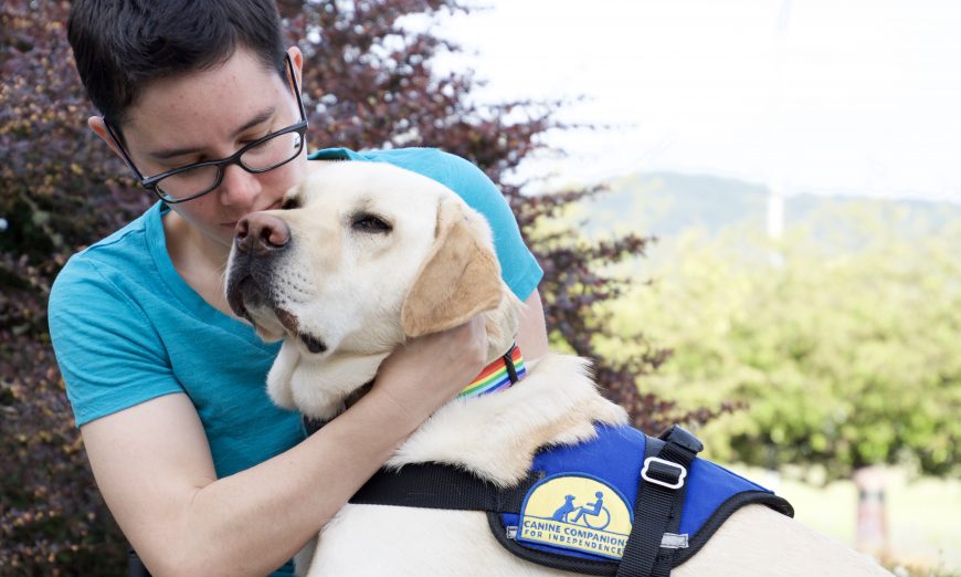 Canine Companions for Independence is on a mission to end Service Dog Fraud. Untrained dogs are a danger to service dogs and those who need them.