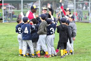 Field Use Fee Changes Strain Little League Funds