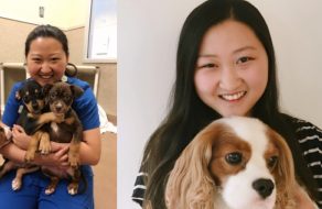 South Bay Student Finds Future Career Through Volunteering