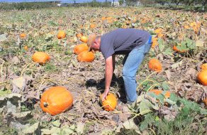 October 4: Nutrition Services Food Showcase at The SCUSD Farm