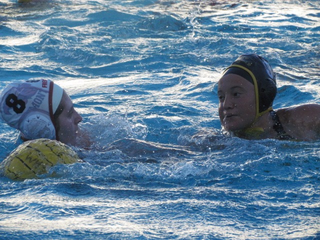 The Wilcox Chargers took on the Fremont Firebirds in a Water Polo match. Marisa Lipari from Wilcox and Shreya Kale from Fremont kept the game interesting.