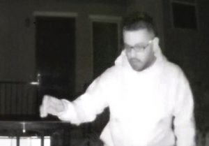 Sunnyvale Arson Case: Help Identify the Suspect