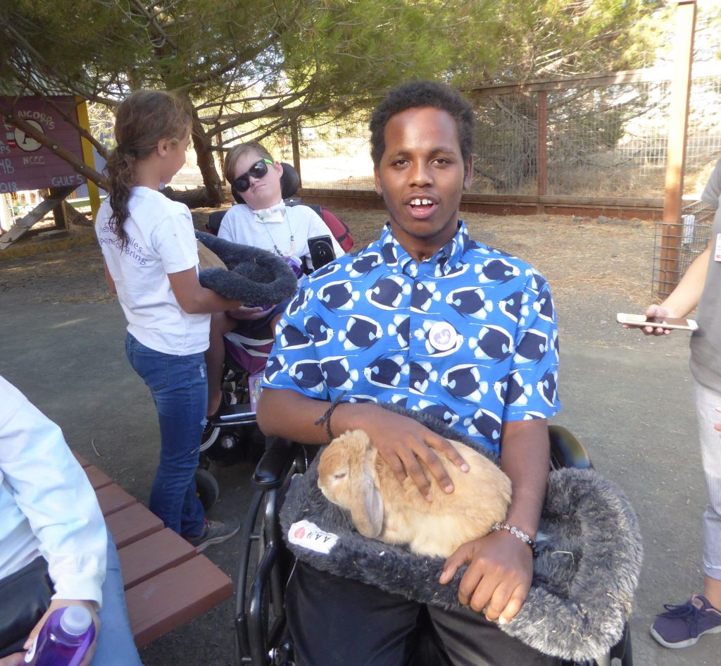 Animal Assisted Happiness (AAH) held their annual Evening at the Barnyard fundraiser. The farm helps youth with needs with the love of animals.