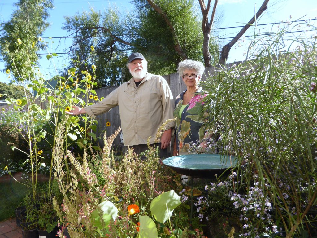 Janay and Kurt Harvey are known to be friends of the butterfly community. They help butterflies at the Ulistac Natural Area and at their home.