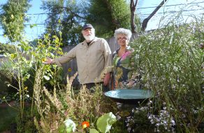 Ulistac Natural Area Hatches Butterfly Enthusiasts