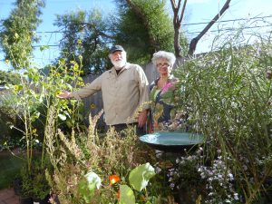 Ulistac Natural Area Hatches Butterfly Enthusiasts