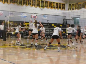 Wilcox Volleyball Thrills Raucous Home Crowd in League Finale