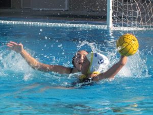 Suffocating Defense Keeps Bruins Alive in CCS Playoffs