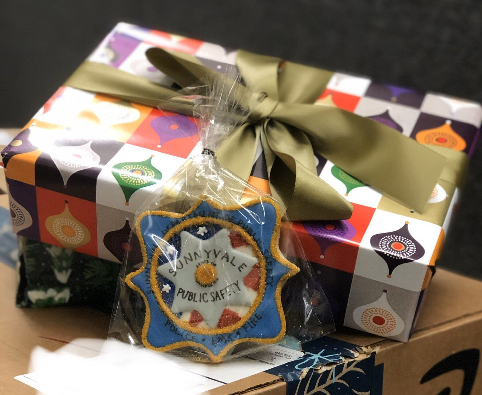 The Sunnyvale Department of Public Safety wants to help residents protect their packages and holiday shopping purchases from porch pirates.