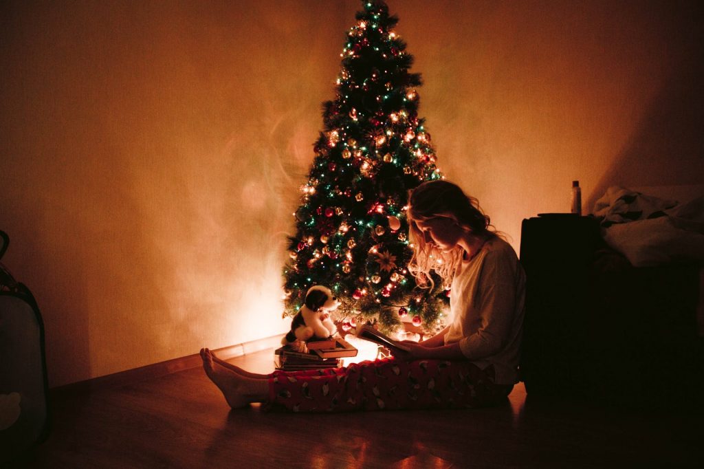 If you're wishing for a Literary Christmas, our Associate Editor, Carolyn, has some ideas for a Christmas story or two to add to your collection.