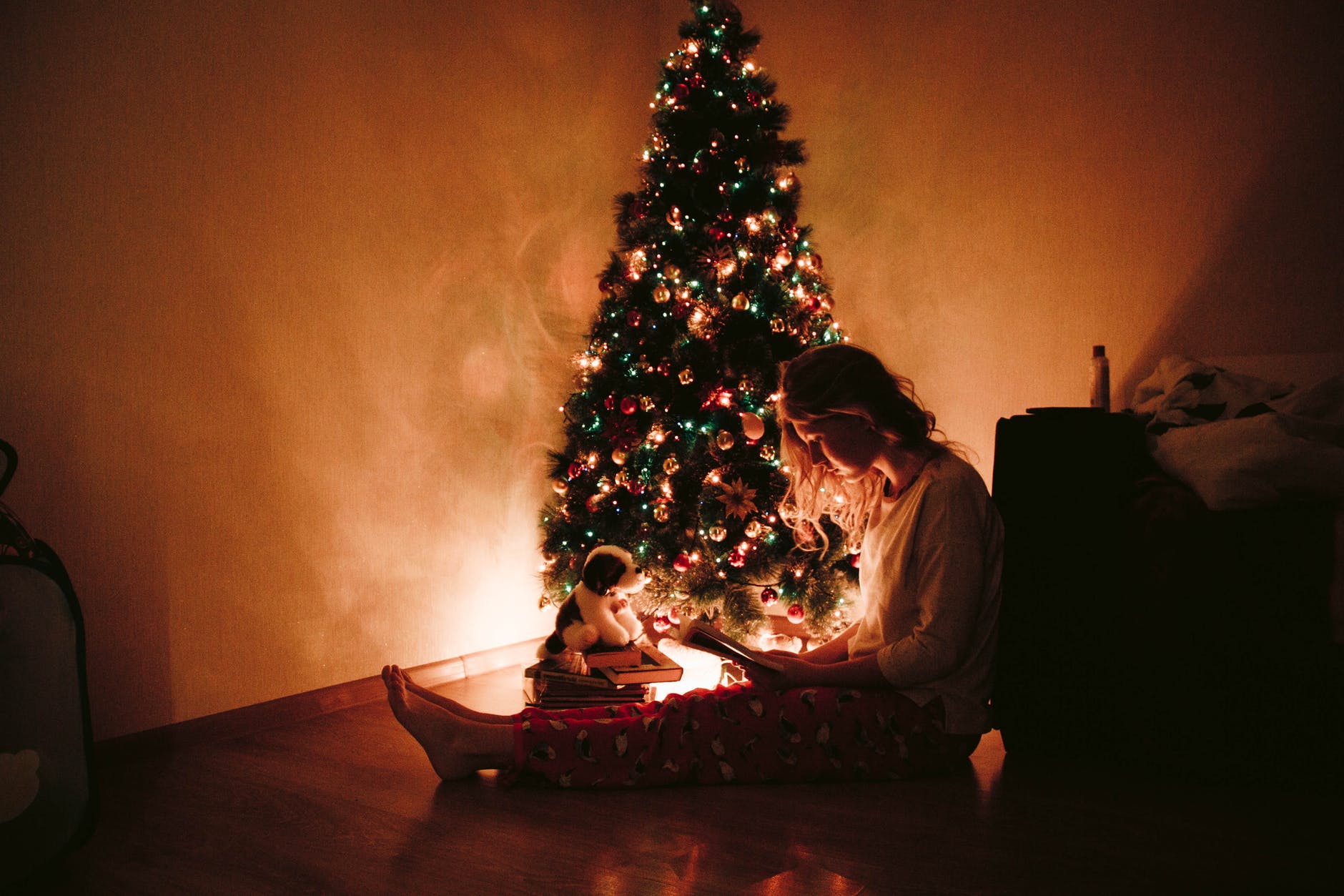 If you're wishing for a Literary Christmas, our Associate Editor, Carolyn, has some ideas for a Christmas story or two to add to your collection.