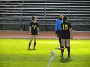 Wilcox Cruises to 5-2 Win over Gunderson