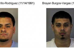 Arrests Made in Auto Burglary Spree