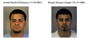 Arrests Made in Auto Burglary Spree