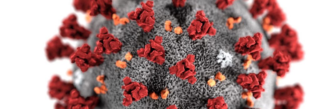 Santa Clara Countys first novel coronavirus case has recovered, according to health officals. He and his family have now been released from isolation.