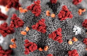 Santa Clara County’s First Novel Coronavirus Case Has Recovered