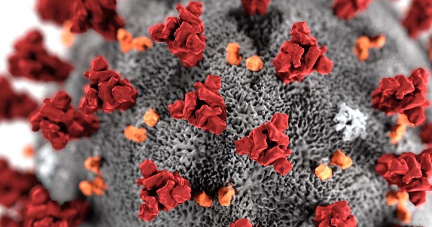 Santa Clara Countys first novel coronavirus case has recovered, according to health officals. He and his family have now been released from isolation.
