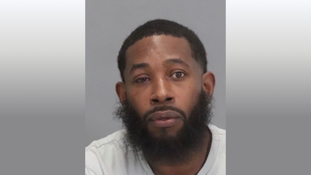 Sunnyvale DPS arrested Michael Lewis on charges of Human Trafficking, Domestic Violence, Vandalism, and Destruction of a cellphone when calling 911.