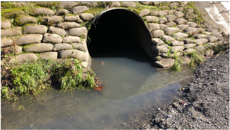 Bacterial Contamination in Sunnyvale’s Waterways Leads to Lawsuit