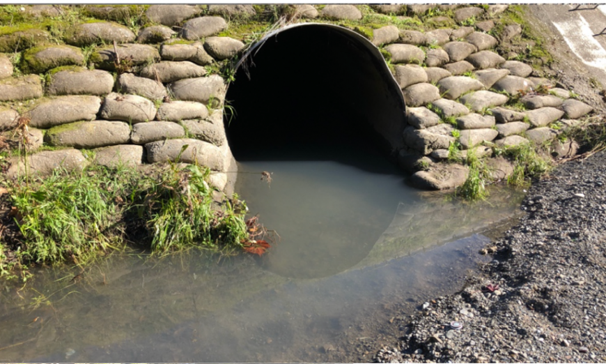 Bacterial contamination in Sunnyvale waterways has lead to a lawsuit filed by San Francisco Baykeeper. They found E. Coli and Enterococcus.