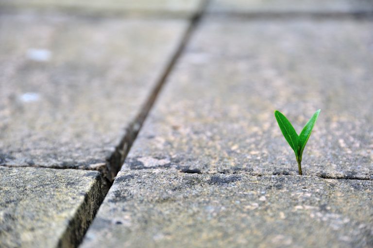 Milestones: Adjusting!